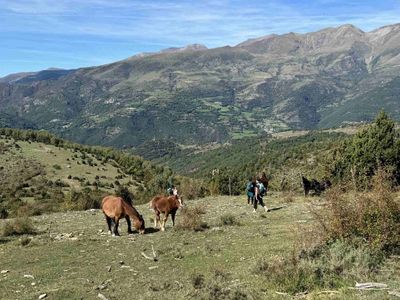 Hiking with horses in the Pyrenees