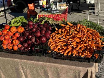 Kingston Farmers Market - June