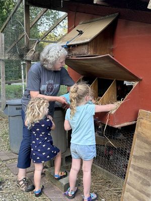 Collecting the eggs on Buttermilk Road
