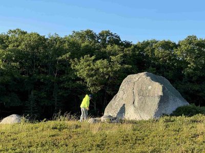 Blueberries for Marty - Donnell Pond