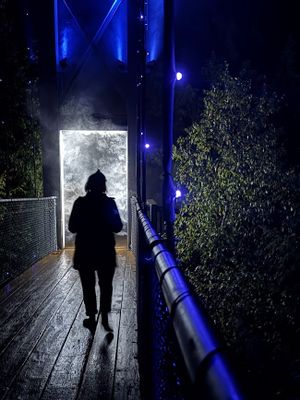  Vanessa crossing the bridge