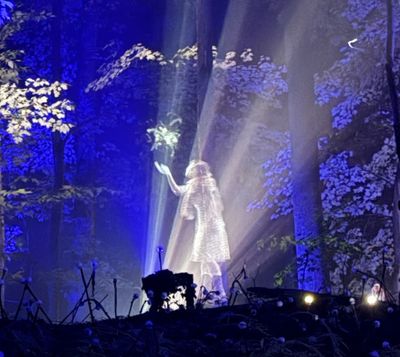 with fairies...