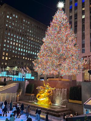 The Tree at Rockefeller Center