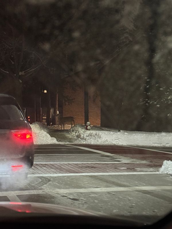 feb_14_2025