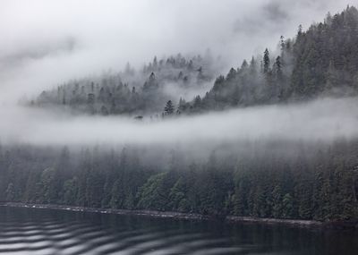 Grenville Channel, BC