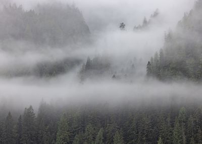 Grenville Channel, BC