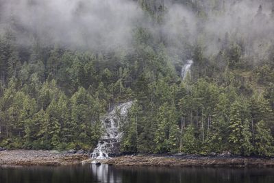 Grenville Channel, BC