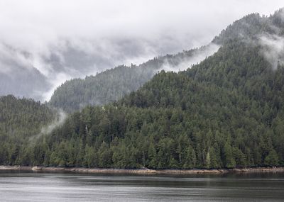 Grenville Channel, BC