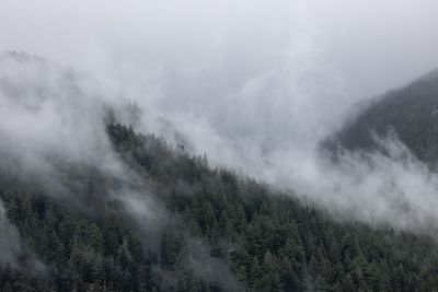 Grenville Channel, BC