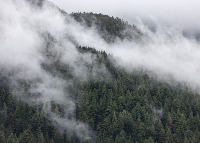 Grenville Channel, BC