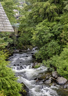 Ketchikan - Creek Beside Married Man Way