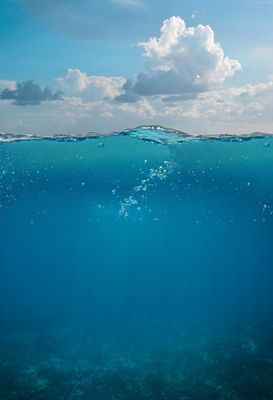 150+Powerful Rod Wave Quotes to Inspire and Heal