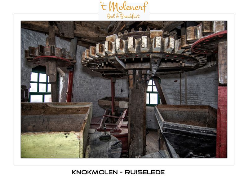 View on the large spurwheel