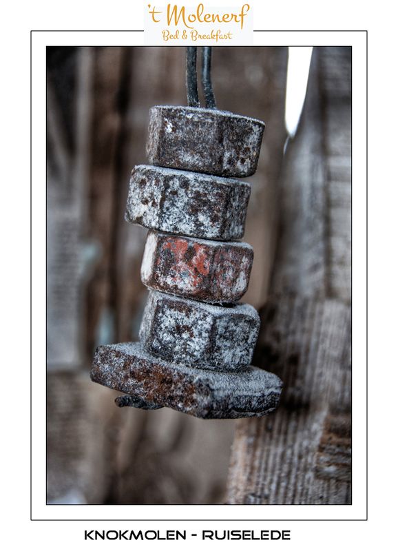 A  weight of old nuts