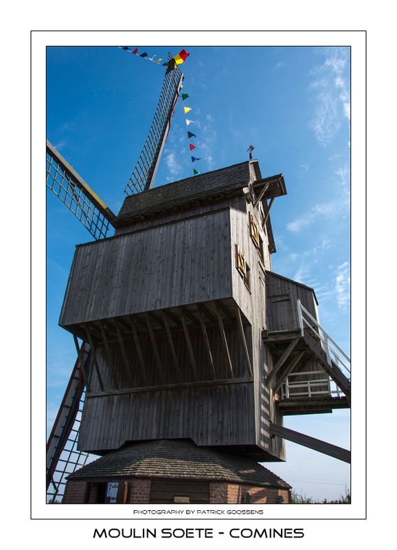 003 Grote buil in de uitbouw van de zijweeg