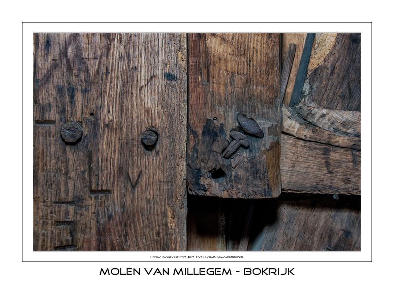 014 Hout met een ziel
