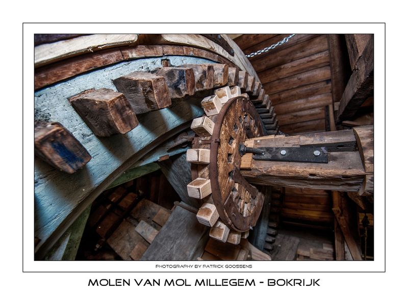033 Sterrewiel van de luias