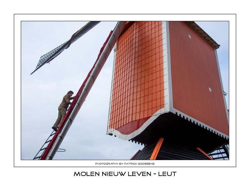 016 Vanwege het Hollands gevlucht moet je in de wieken