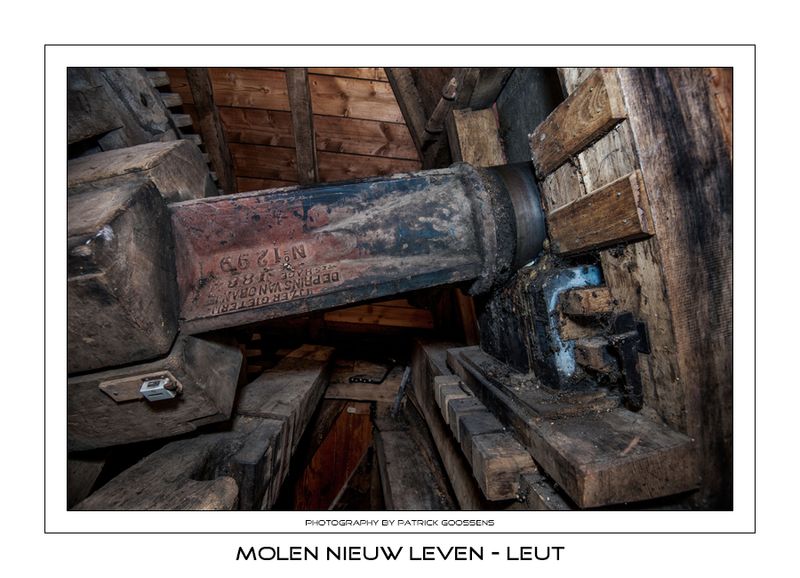 029 Halslager