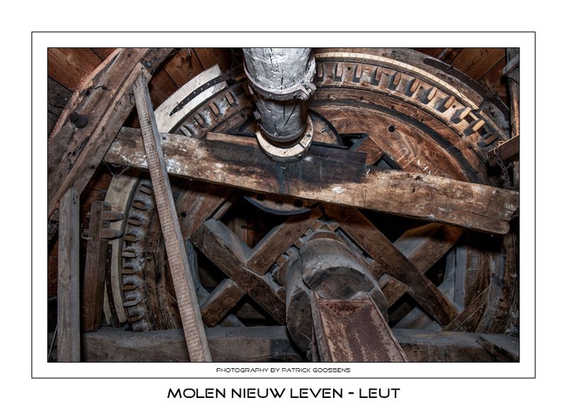 031 Vangwiel met luiwerk