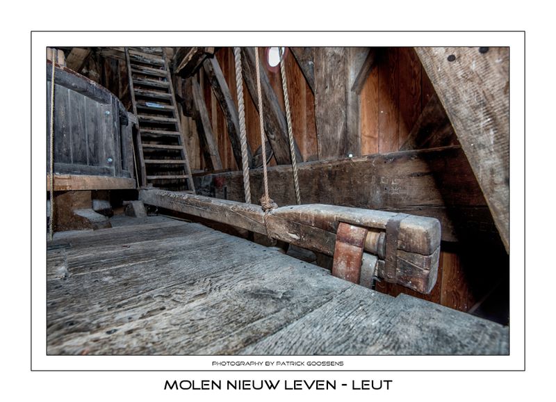 058 Lichtvlegel