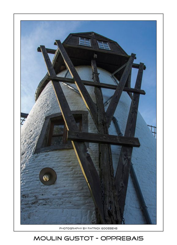 005 staart enkel ter decoratie