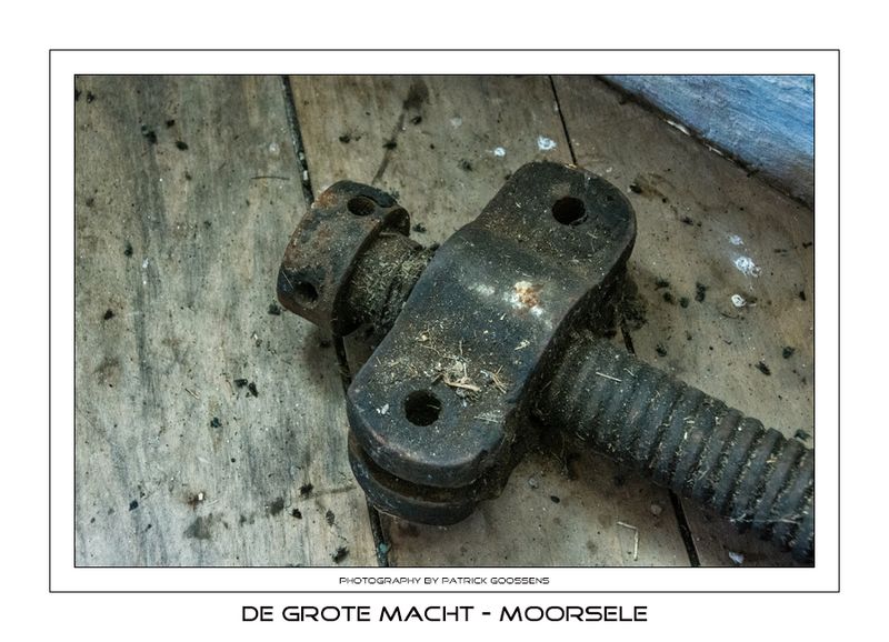011 oude vijzel