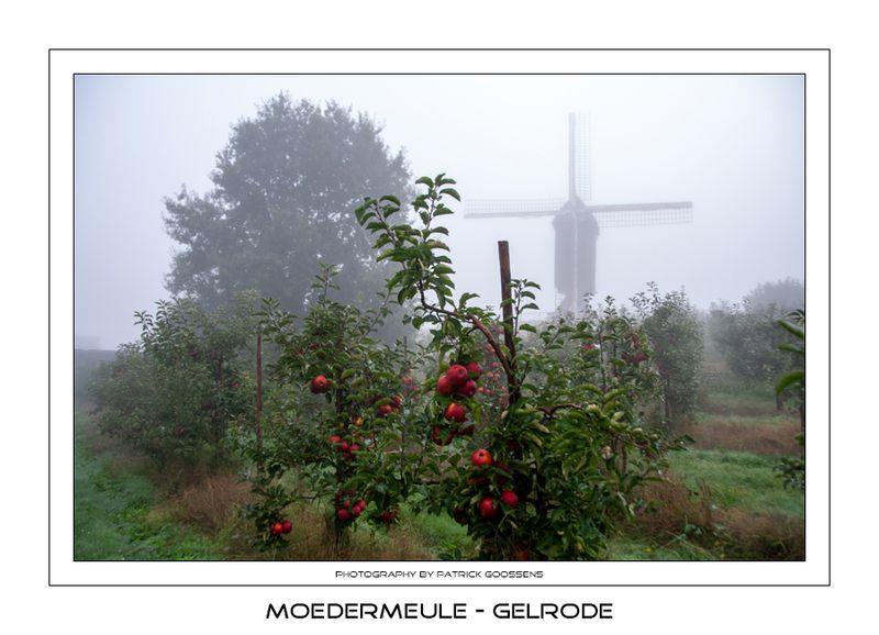008 Ook in de mist aantrekkelijk