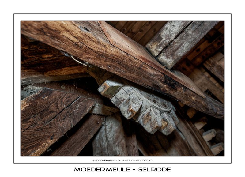 034 Sterrewieltje luias