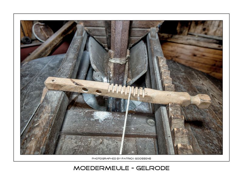 053 Schuddebak