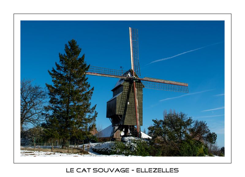 108 Winter 2023-2024