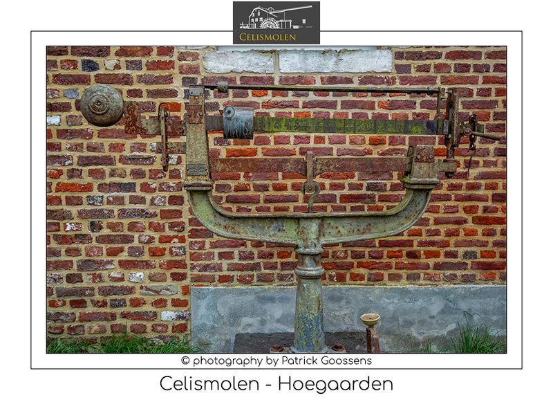 116 Oude weeg in de tuin