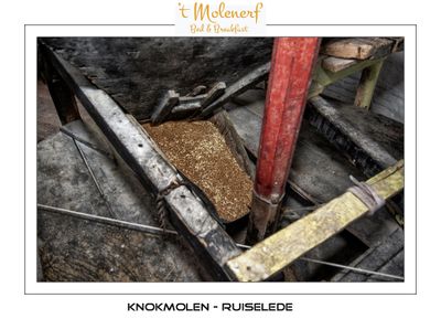 Hopper with feed shoe