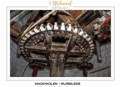 The beautiful spurwheel