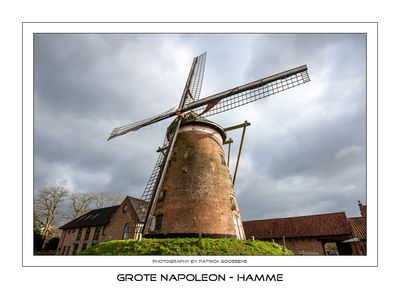 Focus op windmolen de Grote Napoleon in Hamme