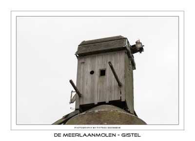 079
