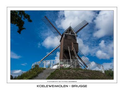 008 Koelewei molen