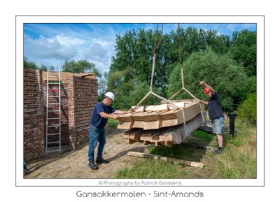 204 Steekbanden