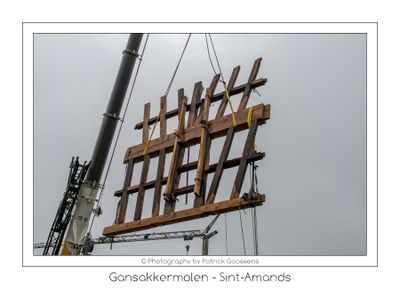 254