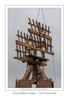 256
