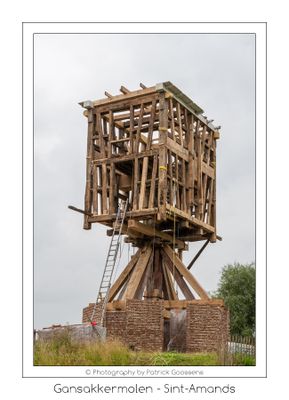 316