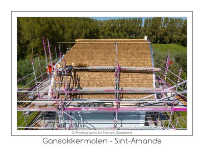 427 Eikenhouten schaliën zijn toch mooi