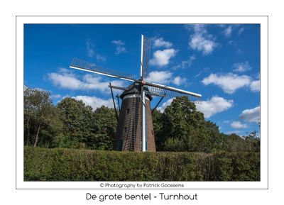 Focus op de Grote bentel in Turnhout