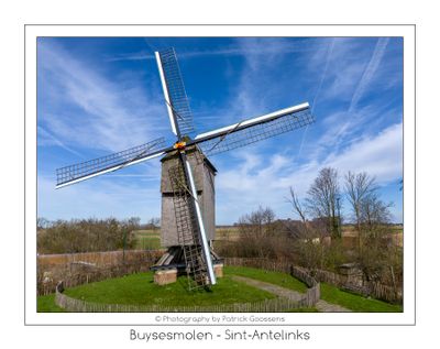 Focus op de Buyssesmolen in Sint-Antelinks