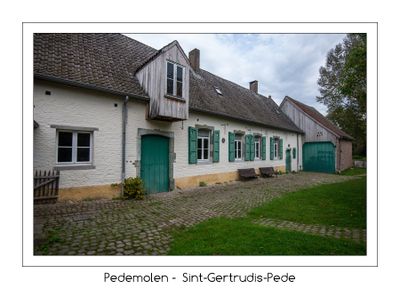 Portret van de Pedemolen in Sint-Gertrudis-Pede