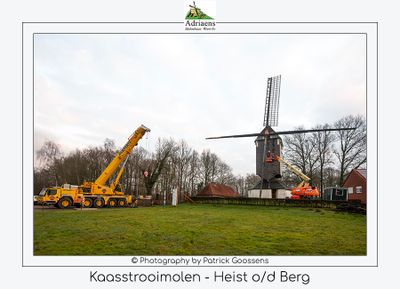 087