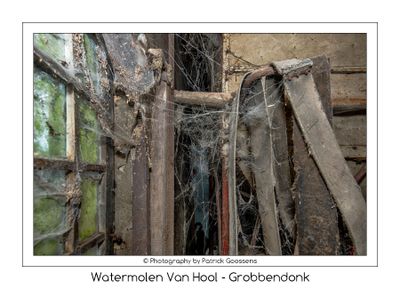 061 Verstilde schoonheid