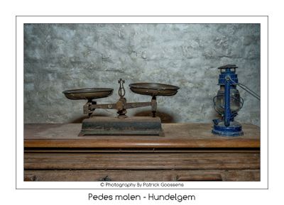 Portret van Pedesmolentje in Hundelgem