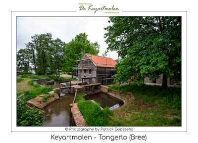 Portret van de Keyartmolen in Tongerlo (Bree)