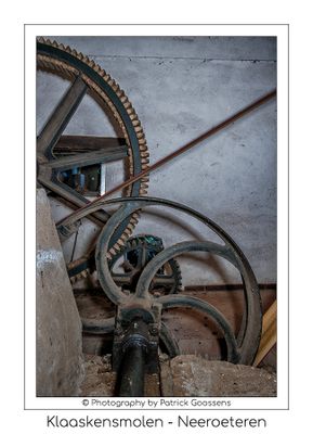 019